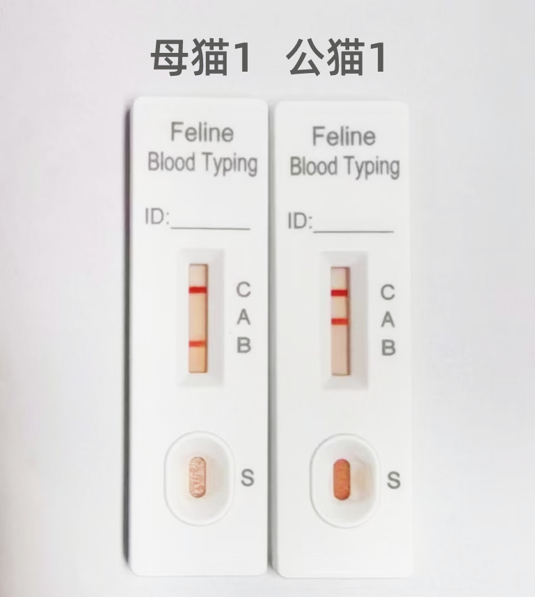 图8 猫血检测结果-备注.png