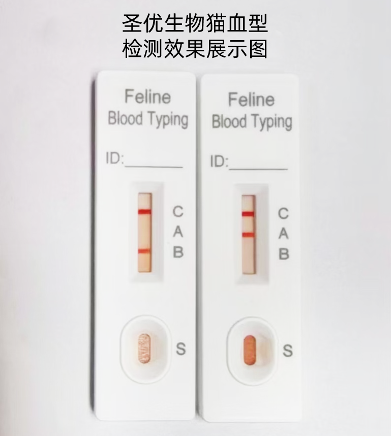 图4 猫血检测结果-备注.png